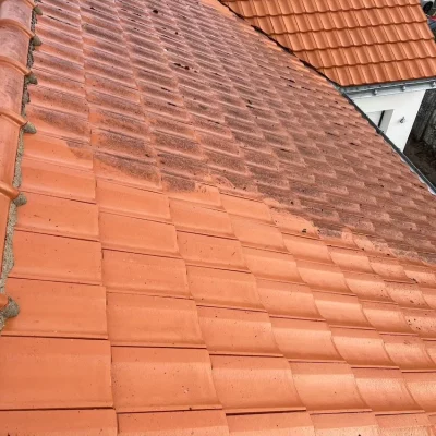 Démoussage toiture à Chartres