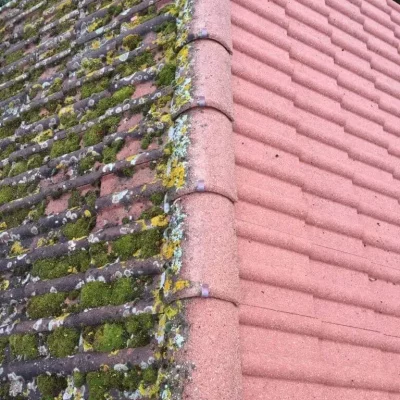 Démoussage toiture Chartres 28