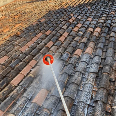 Démoussage toiture Chartres