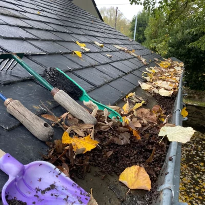 Nettoyage de gouttières à Chartres