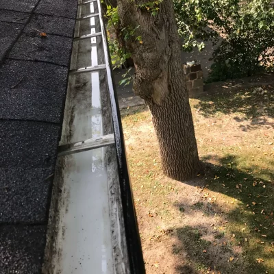 Nettoyage gouttières à Chartres