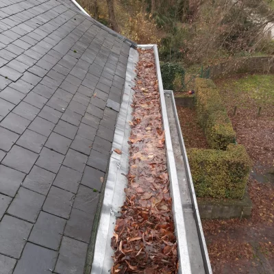 Nettoyage gouttières Chartres