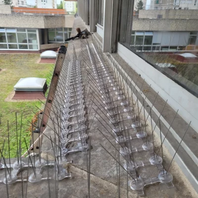 Pose pics à pigeon 28 Eure-et-Loir