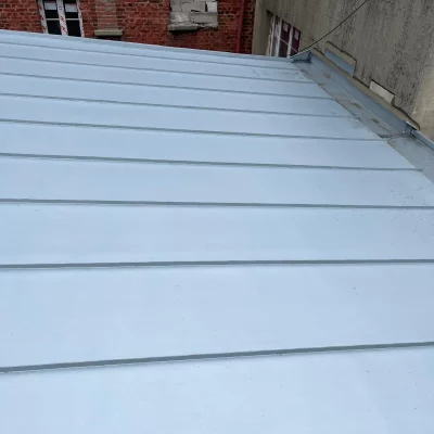 Réfection toiture en zinc 28
